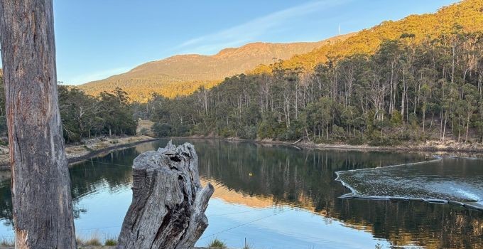 TasWater dam safety surveillance